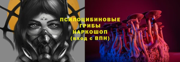 дмт Пестово