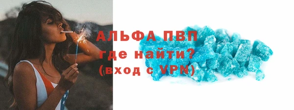 PSILOCYBIN Пересвет