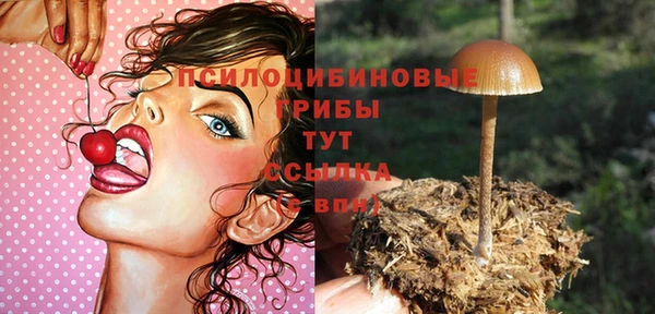 не бодяженный Осташков