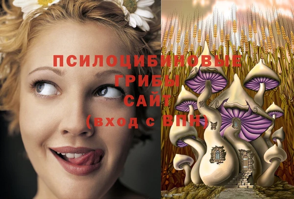 MDMA Осинники