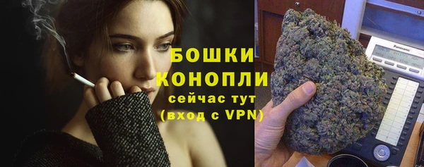 дживик Переславль-Залесский
