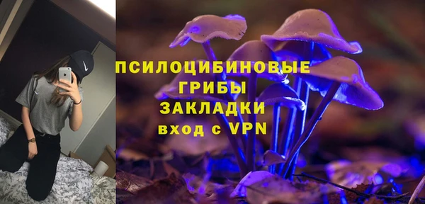 не бодяженный Осташков