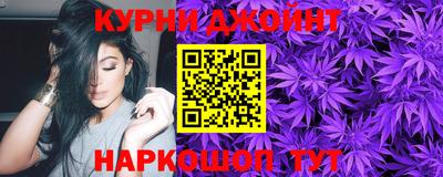 крисы Гатчина