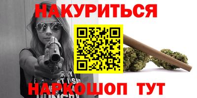 крисы Гатчина