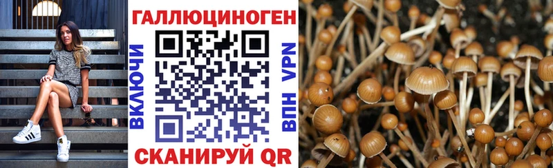 Галлюциногенные грибы Magic Shrooms  mega ссылки  Апатиты 