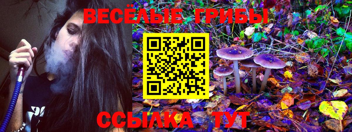 Галлюциногенные грибы прущие грибы  Вход с VPN  закладка  Апатиты 