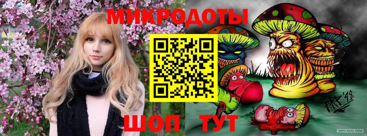 Псилоцибиновые грибы мицелий  Галлюциногенные грибы Psilocybine cubensis  Вход с VPN  Апатиты 
