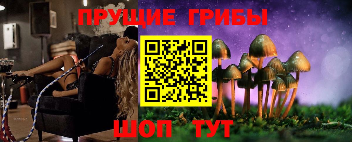 Галлюциногенные грибы прущие грибы Апатиты