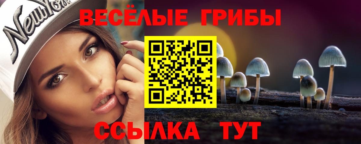 где можно купить   Апатиты  Галлюциногенные грибы MAGIC MUSHROOMS 
