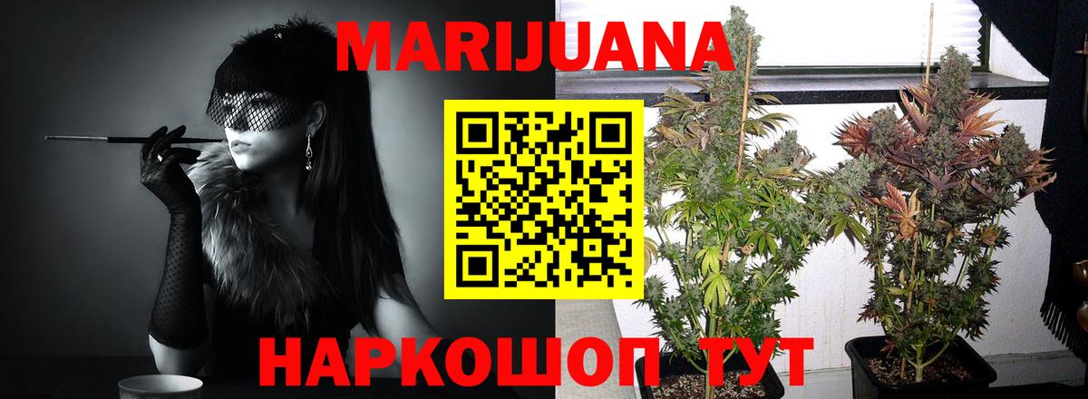 Бошки марихуана конопля Апатиты